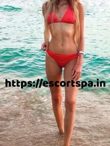 chandigarh Escorts Service